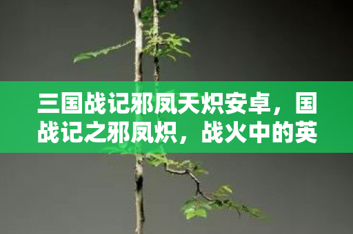 三国战记邪凤天炽安卓,国战记之邪凤炽,战火中的英雄与传奇 三国战记邪凤天炽安卓,国战记之邪凤炽,战火中的英雄与传奇