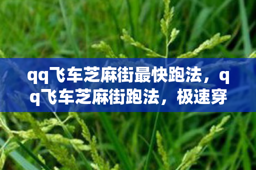 qq飞车芝麻街最快跑法,qq飞车芝麻街跑法,极速穿越的秘诀 qq飞车芝麻街最快跑法,qq飞车芝麻街跑法,极速穿越的秘诀