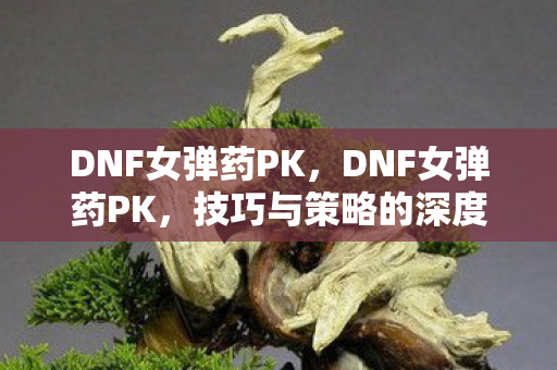 DNF女弹药PK,DNF女弹药PK,技巧与策略的深度剖析 DNF女弹药PK,DNF女弹药PK,技巧与策略的深度剖析