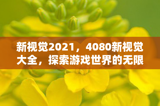 新视觉2021,4080新视觉大全,探索游戏世界的无限可能 新视觉2021,4080新视觉大全,探索游戏世界的无限可能