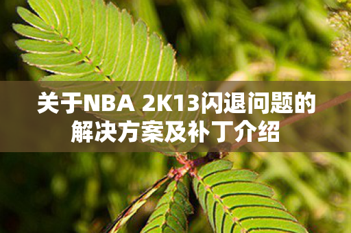 关于NBA 2K13闪退问题的解决方案及补丁介绍
