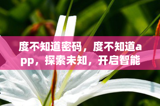 度不知道密码,度不知道app,探索未知,开启智能生活新篇章 度不知道密码,度不知道app,探索未知,开启智能生活新篇章