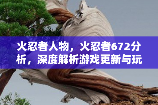 火忍者人物,火忍者672分析,深度解析游戏更新与玩家体验 火忍者人物,火忍者672分析,深度解析游戏更新与玩家体验