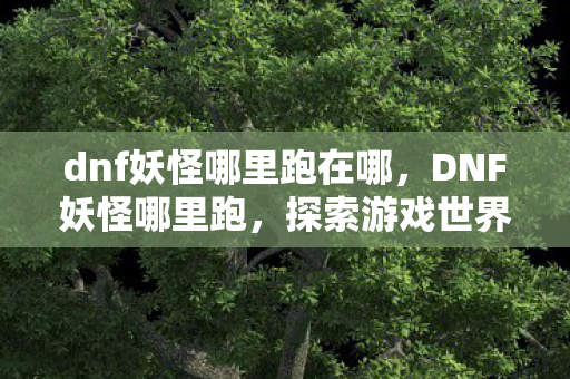 dnf妖怪哪里跑在哪，DNF妖怪哪里跑，探索游戏世界的神秘生物