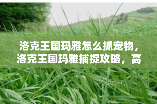 洛克王国玛雅怎么抓宠物，洛克王国玛雅捕捉攻略，高效捕捉技巧分享