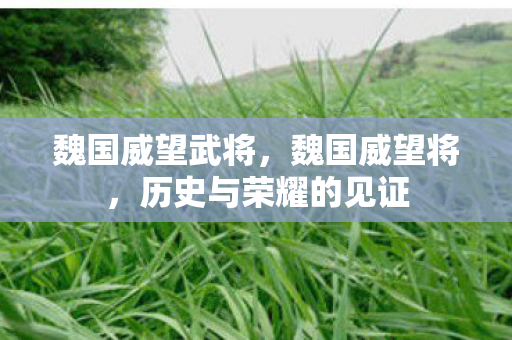 魏国威望武将,魏国威望将,历史与荣耀的见证 魏国威望武将,魏国威望将,历史与荣耀的见证