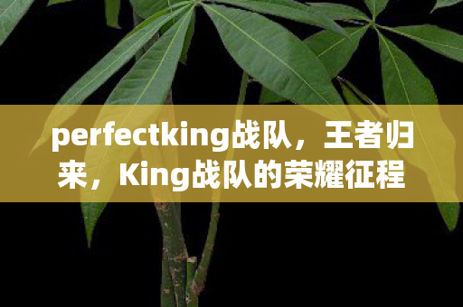 perfectking战队,王者归来,King战队的荣耀征程 perfectking战队,王者归来,King战队的荣耀征程
