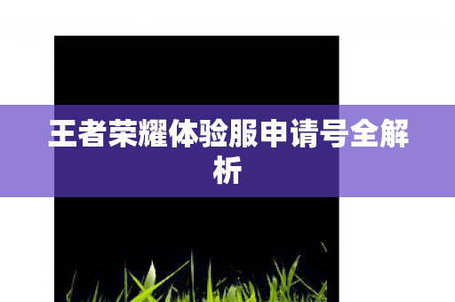 王者荣耀体验服申请号全解析 王者荣耀体验服申请号全解析