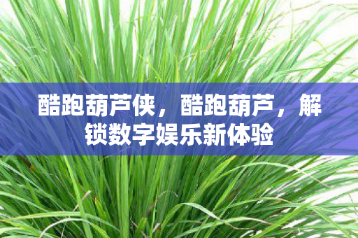 酷跑葫芦侠,酷跑葫芦,解锁数字娱乐新体验 酷跑葫芦侠,酷跑葫芦,解锁数字娱乐新体验