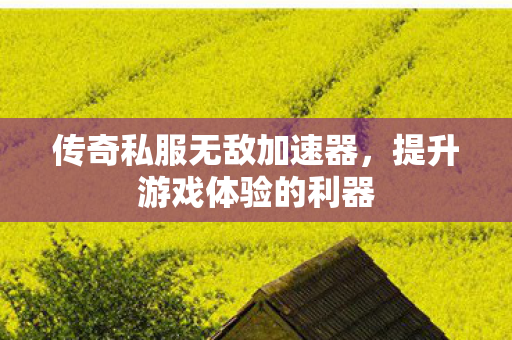 传奇私服无敌加速器,提升游戏体验的利器 传奇私服无敌加速器,提升游戏体验的利器