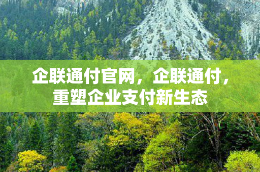企联通付官网，企联通付，重塑企业支付新生态