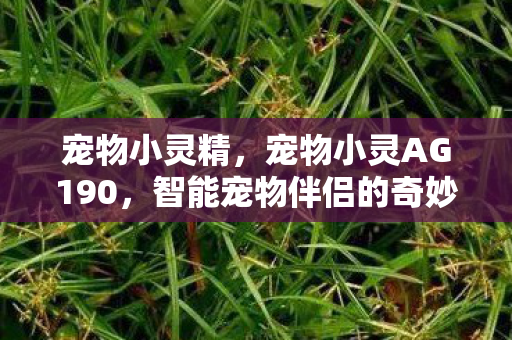 宠物小灵精,宠物小灵AG190,智能宠物伴侣的奇妙世界 宠物小灵精,宠物小灵AG190,智能宠物伴侣的奇妙世界