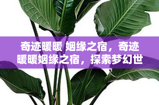 奇迹暖暖 姻缘之宿,奇迹暖暖姻缘之宿,探索梦幻世界的浪漫之旅 奇迹暖暖 姻缘之宿,奇迹暖暖姻缘之宿,探索梦幻世界的浪漫之旅