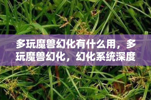 多玩魔兽幻化有什么用,多玩魔兽幻化,幻化系统深度解析与幻化之旅 多玩魔兽幻化有什么用,多玩魔兽幻化,幻化系统深度解析与幻化之旅