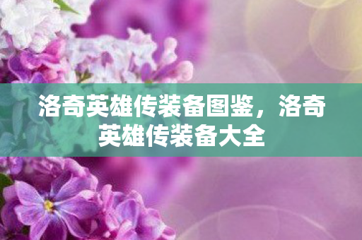 洛奇英雄传装备图鉴,洛奇英雄传装备大全 洛奇英雄传装备图鉴,洛奇英雄传装备大全