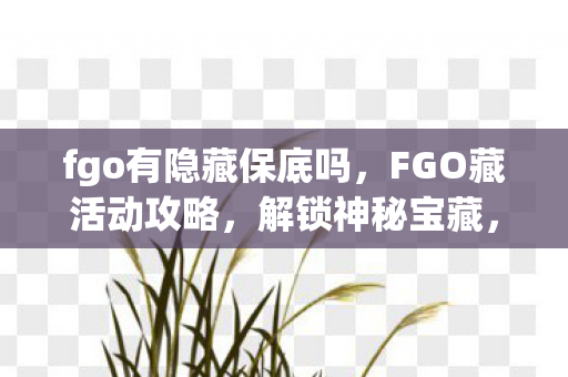 fgo有隐藏保底吗，FGO藏活动攻略，解锁神秘宝藏，赢取丰厚奖励