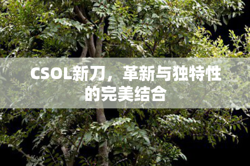 CSOL新刀,革新与独特性的完美结合 CSOL新刀,革新与独特性的完美结合