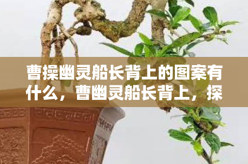 曹操幽灵船长背上的图案有什么,曹幽灵船长背上,探索未知海域的奇幻之旅 曹操幽灵船长背上的图案有什么,曹幽灵船长背上,探索未知海域的奇幻之旅
