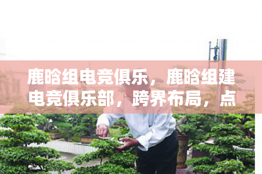 鹿晗组电竞俱乐,鹿晗组建电竞俱乐部,跨界布局,点燃电竞新火花 鹿晗组电竞俱乐,鹿晗组建电竞俱乐部,跨界布局,点燃电竞新火花