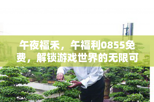 午夜福禾,午福利0855免费,解锁游戏世界的无限可能 午夜福禾,午福利0855免费,解锁游戏世界的无限可能