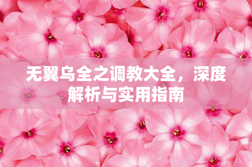 无翼乌全之调教大全，深度解析与实用指南