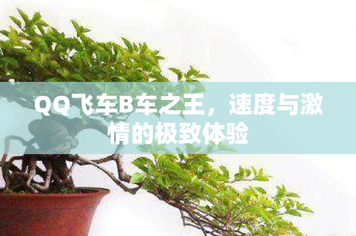 QQ飞车B车之王，速度与激情的极致体验