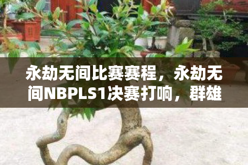 永劫无间比赛赛程,永劫无间NBPLS1决赛打响,群雄逐鹿,剑指巅峰 永劫无间比赛赛程,永劫无间NBPLS1决赛打响,群雄逐鹿,剑指巅峰