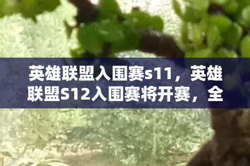 英雄联盟入围赛s11,英雄联盟S12入围赛将开赛,全球电竞盛宴即将启幕 英雄联盟入围赛s11,英雄联盟S12入围赛将开赛,全球电竞盛宴即将启幕
