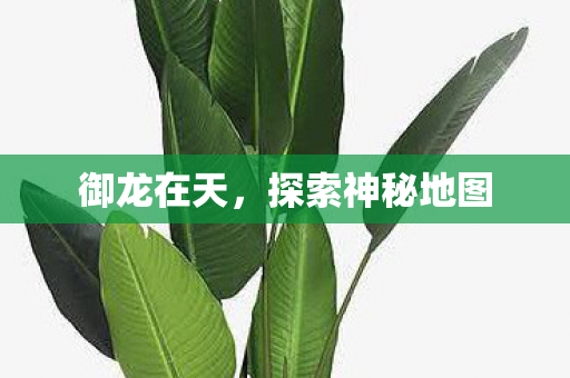 御龙在天，探索神秘地图