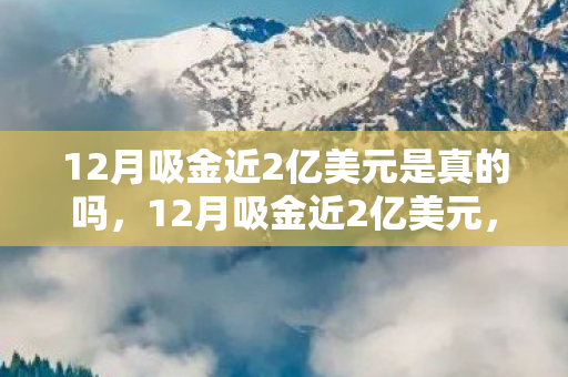 12月吸金近2亿美元是真的吗,12月吸金近2亿美元,揭秘游戏产业背后的吸金神话 12月吸金近2亿美元是真的吗,12月吸金近2亿美元,揭秘游戏产业背后的吸金神话