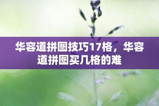 华容道拼图技巧17格,华容道拼图买几格的难 华容道拼图技巧17格,华容道拼图买几格的难