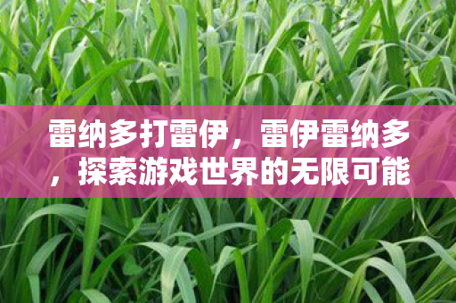 雷纳多打雷伊,雷伊雷纳多,探索游戏世界的无限可能 雷纳多打雷伊,雷伊雷纳多,探索游戏世界的无限可能
