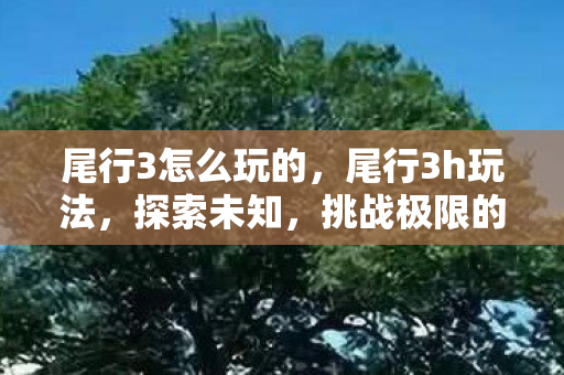 尾行3怎么玩的,尾行3h玩法,探索未知,挑战极限的趣味冒险 尾行3怎么玩的,尾行3h玩法,探索未知,挑战极限的趣味冒险