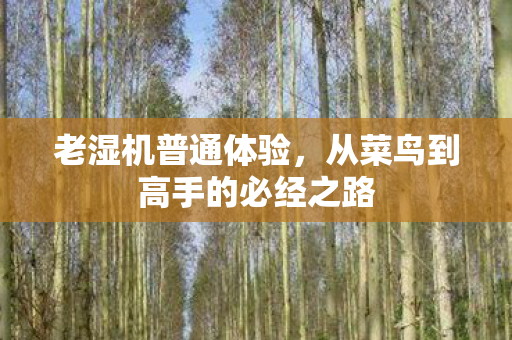 老湿机普通体验,从菜鸟到高手的必经之路 老湿机普通体验,从菜鸟到高手的必经之路