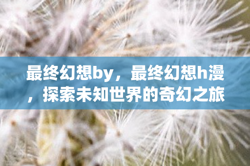 最终幻想by，最终幻想h漫，探索未知世界的奇幻之旅