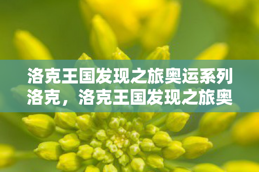 洛克王国发现之旅奥运系列洛克,洛克王国发现之旅奥运系列,探索王国的奇妙冒险 洛克王国发现之旅奥运系列洛克,洛克王国发现之旅奥运系列,探索王国的奇妙冒险