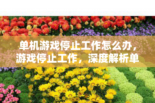 单机游戏停止工作怎么办,游戏停止工作,深度解析单机游戏故障背后的原因 单机游戏停止工作怎么办,游戏停止工作,深度解析单机游戏故障背后的原因
