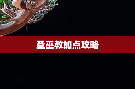 圣巫教加点攻略