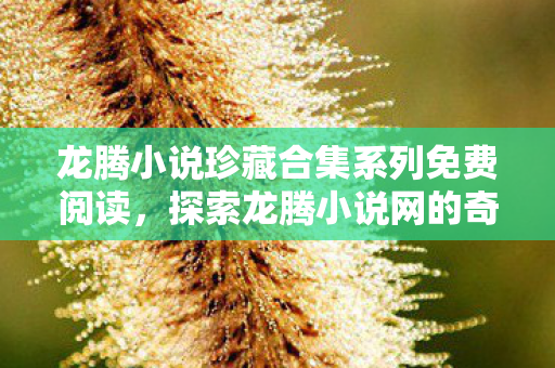 龙腾小说珍藏合集系列免费阅读,探索龙腾小说网的奇妙世界,从创作到阅读的全方位体验 龙腾小说珍藏合集系列免费阅读,探索龙腾小说网的奇妙世界,从创作到阅读的全方位体验