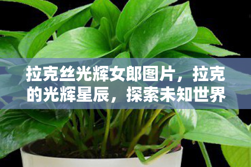 拉克丝光辉女郎图片,拉克的光辉星辰,探索未知世界的奇妙之旅 拉克丝光辉女郎图片,拉克的光辉星辰,探索未知世界的奇妙之旅