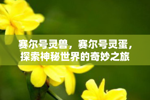 赛尔号灵兽,赛尔号灵蛋,探索神秘世界的奇妙之旅 赛尔号灵兽,赛尔号灵蛋,探索神秘世界的奇妙之旅
