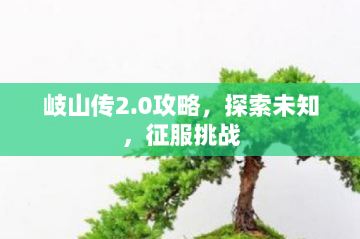 岐山传2.0攻略,探索未知,征服挑战 岐山传2.0攻略,探索未知,征服挑战