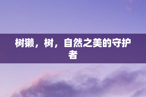 树獭，树，自然之美的守护者