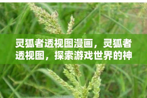灵狐者透视图漫画,灵狐者透视图,探索游戏世界的神秘面纱 灵狐者透视图漫画,灵狐者透视图,探索游戏世界的神秘面纱