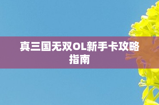真三国无双OL新手卡攻略指南