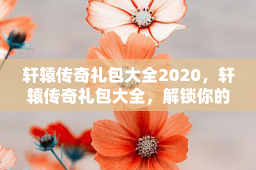 轩辕传奇礼包大全2020，轩辕传奇礼包大全，解锁你的游戏之旅