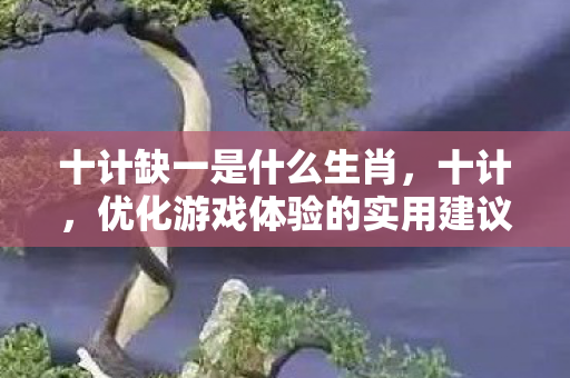 十计缺一是什么生肖,十计,优化游戏体验的实用建议 十计缺一是什么生肖,十计,优化游戏体验的实用建议