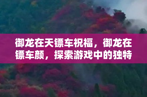 御龙在天镖车祝福,御龙在镖车颜,探索游戏中的独特风景与文化 御龙在天镖车祝福,御龙在镖车颜,探索游戏中的独特风景与文化