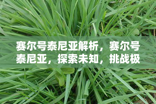 赛尔号泰尼亚解析,赛尔号泰尼亚,探索未知,挑战极限 赛尔号泰尼亚解析,赛尔号泰尼亚,探索未知,挑战极限