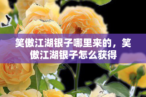 笑傲江湖银子哪里来的，笑傲江湖银子怎么获得